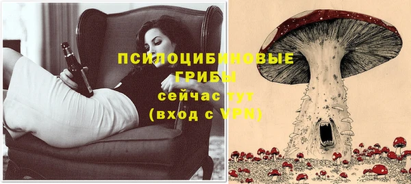 mix Аркадак