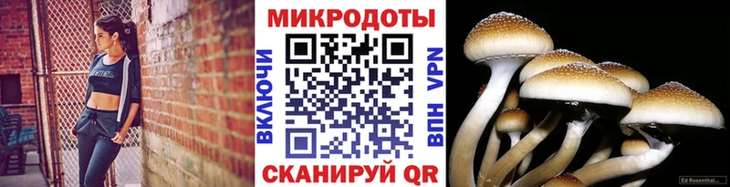 где найти наркотики  Байкальск  Псилоцибиновые грибы Magic Shrooms 